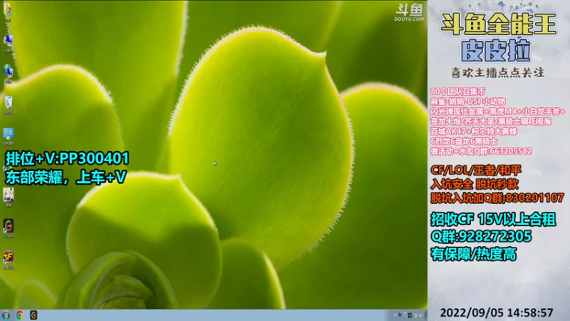 【2022-09-05 14点场】皮皮拉3004O1：皮皮拉:排位上分搞起来！