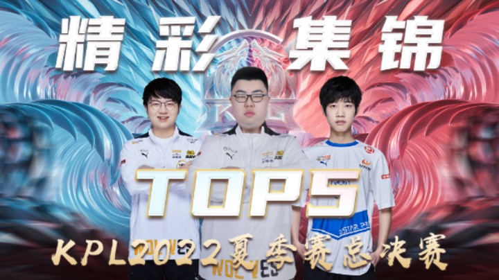 【KPL夏季赛】总决赛第十三周TOP5精彩集锦