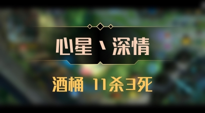 【心星丶深情】酒桶 11杀3死