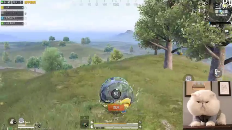 【2022-09-06 01点场】图妹半生：祝花牛鼻生日快乐