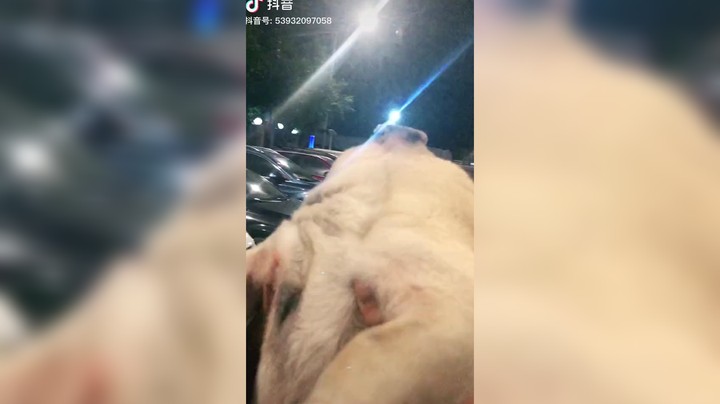 鼬森塞发布了一个斗鱼视频2022-09-06