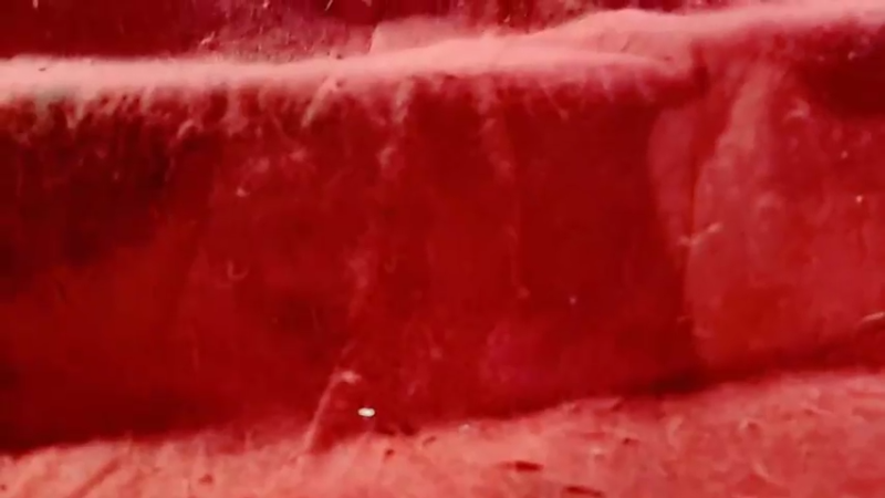 【2022-09-06 19点场】洪湖小肖：163天不见，别来无恙