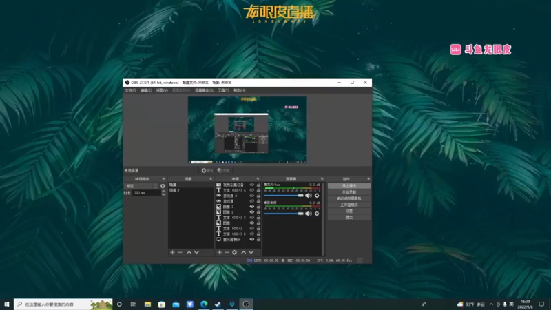 【2022-09-06 16点场】龙眼皮Lyd：以撒幸存者，吸血鬼幸存者mod