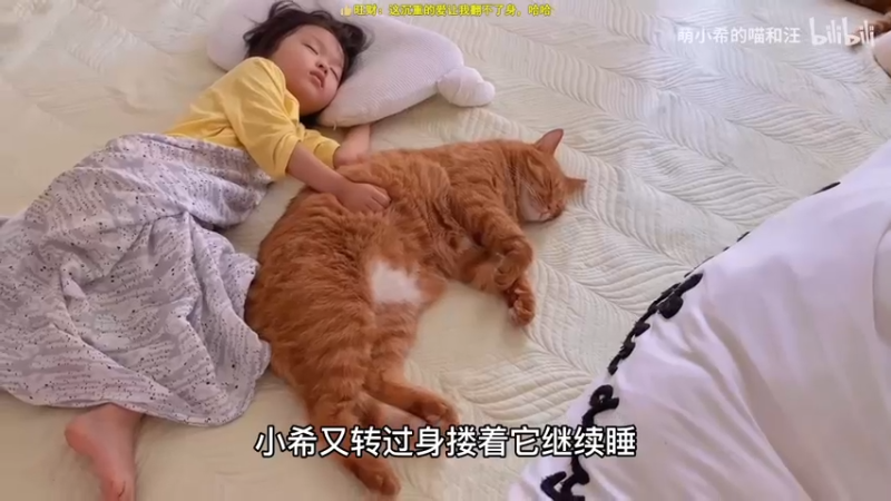 【2022-09-07 02点场】小粥泥浆：关键词:真不偷盾