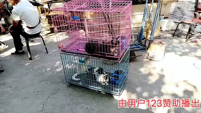 【2022-09-07 14点场】o北京老王o：十里河天骄