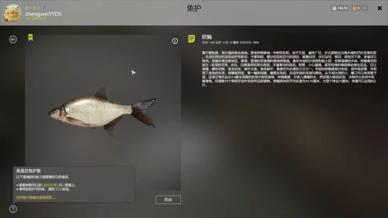 【2022-09-07 03点场】郑伟丶：娱乐性技术主播