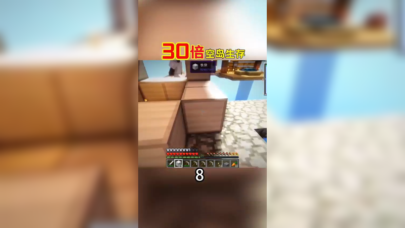 30倍空岛生存8（2）