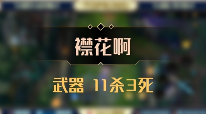 【襟花啊】武器 11杀3死