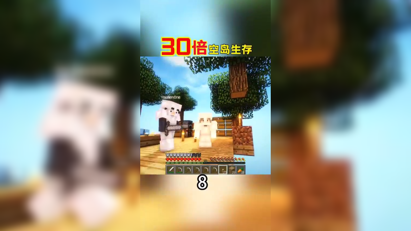 30倍空岛生存8（1）
