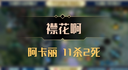 【襟花啊】阿卡丽 11杀2死