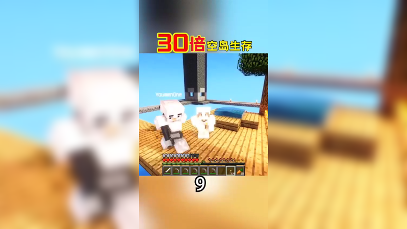 30倍空岛生存9（2）