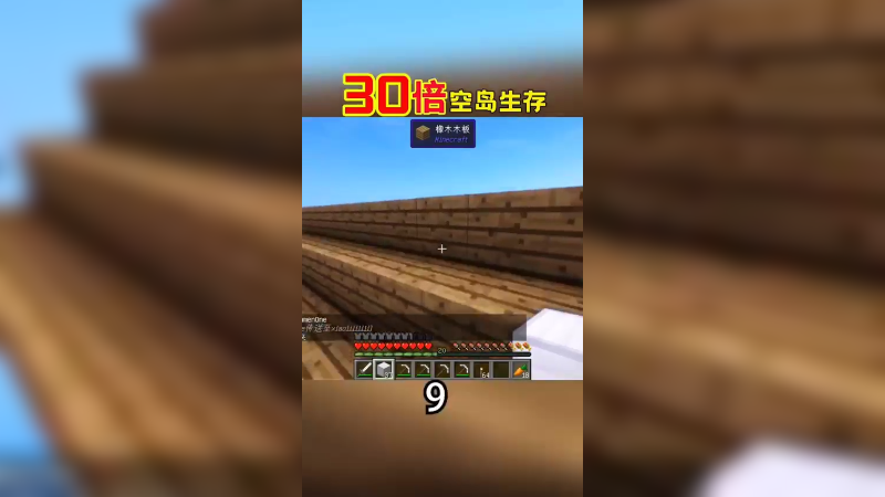 30倍空岛生存9（1）
