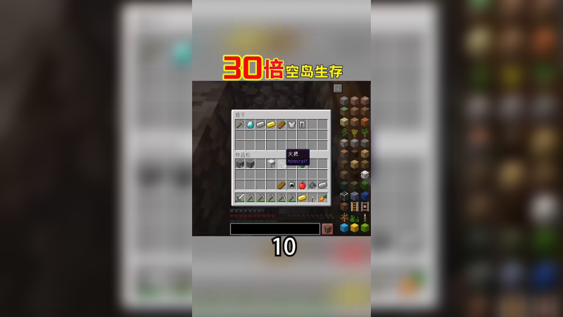 30倍空岛生存10（1）