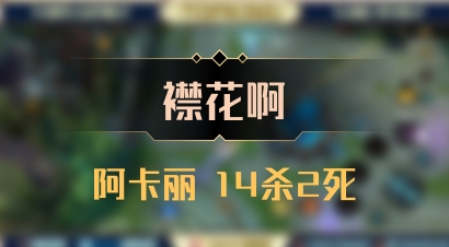 【襟花啊】阿卡丽 14杀2死