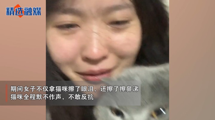 女子被情感故事感动到落泪，随手抓起一旁猫咪擦起眼泪：猫纸巾？-今日头条