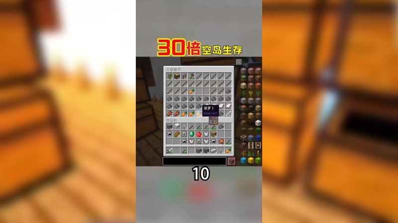 30倍空岛生存10（2）