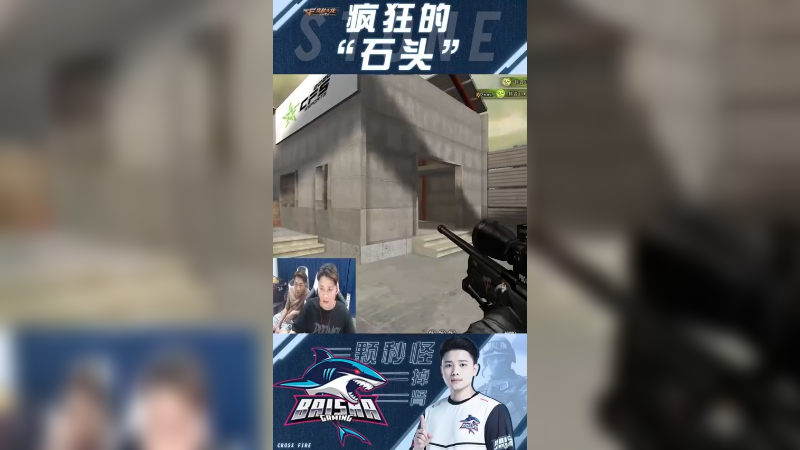大菠萝亦有差距