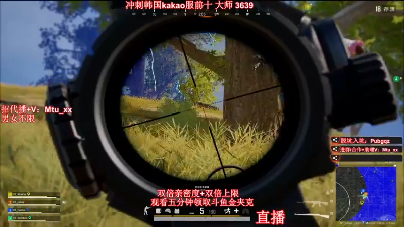 【2022-09-09 16点场】顶级菊宝a：【菊花】白银双倍，无挂服冲前十