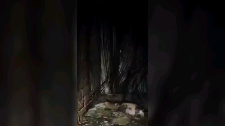 我心态崩了阿！！！！！！