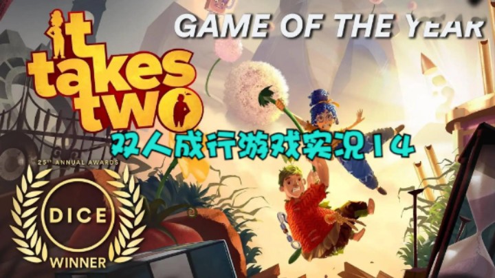 双人成行游戏实况14