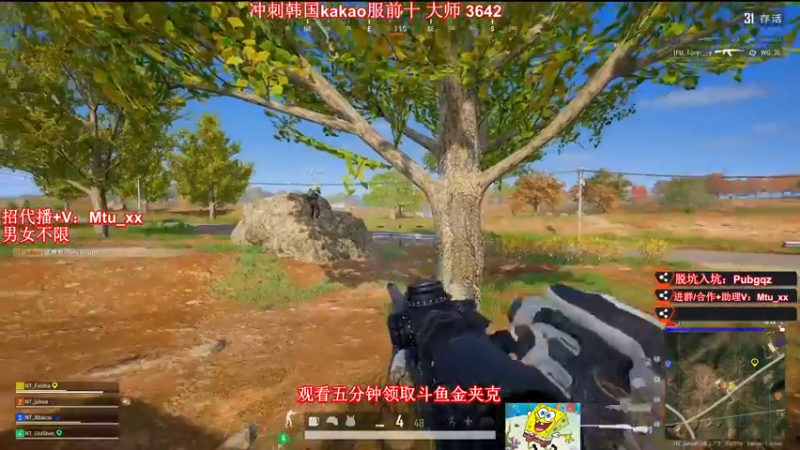【2022-09-09 06点场】顶级菊宝a：【菊花】白银双倍，无挂服大师冲前十