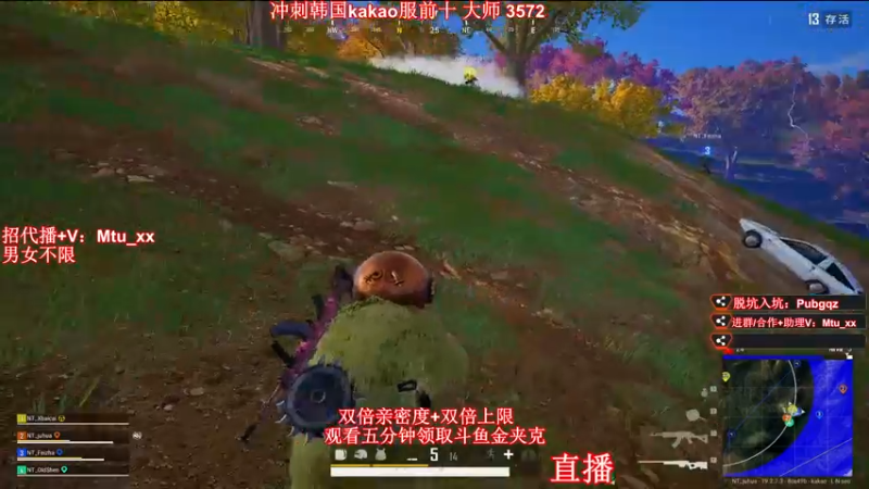 【2022-09-09 14点场】顶级菊宝a：【菊花】白银双倍，无挂服冲前十