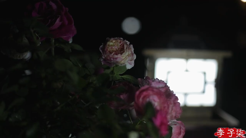 【美食】李子柒liziqi的精彩时刻 20220909 16点场