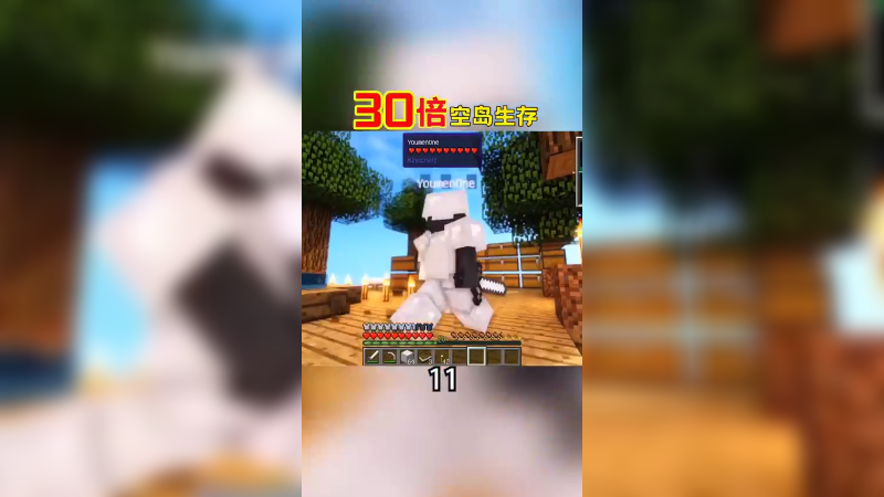 30倍空岛生存11（1）