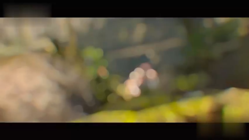 精彩集锦