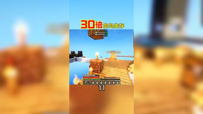 30倍空岛生存11（3）