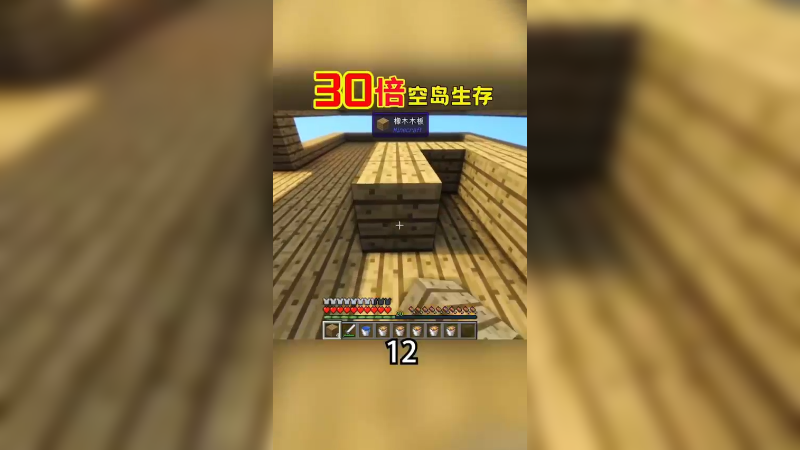 30倍空岛生存12（1）