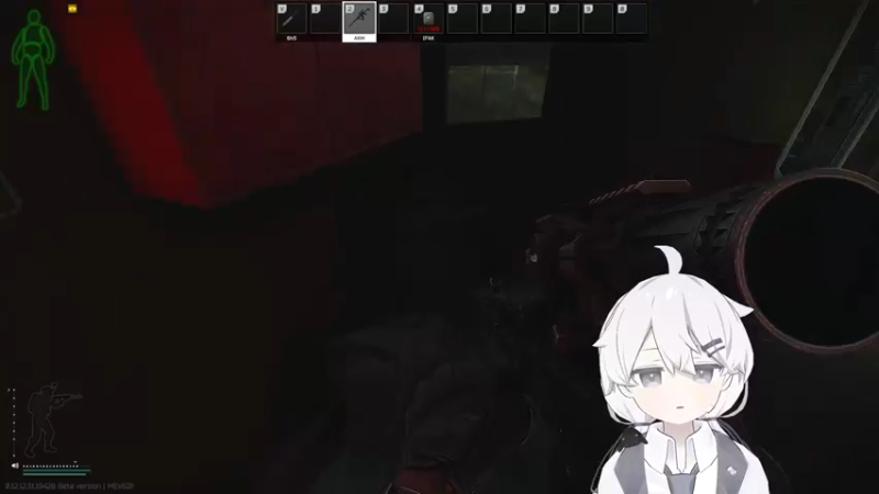 【2022-09-05 02点场】Piper派酱：塔科夫走起。。