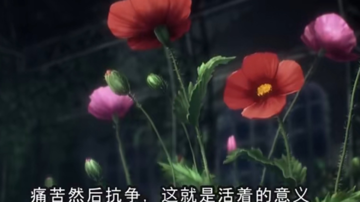 枪牌裸点四狼