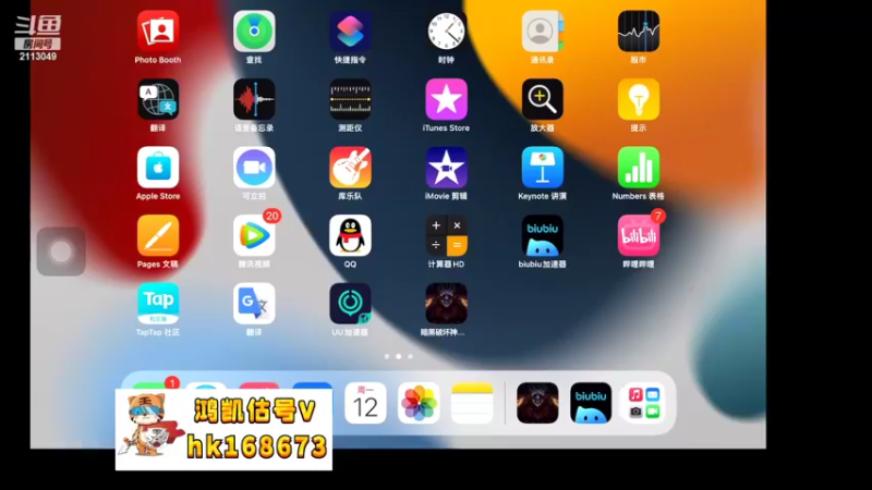 【2022-09-12 01点场】紫灵z：二台鲨鱼:庇护之地不朽会收人