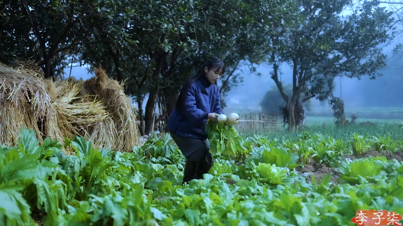 【美食】李子柒liziqi的精彩时刻 20220912 23点场