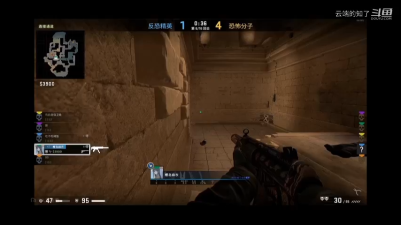 CSGO日记38