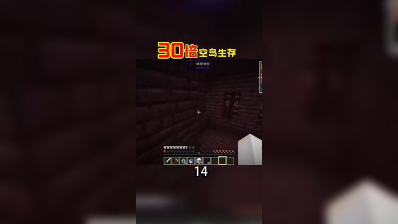 30倍空岛生存14（1）