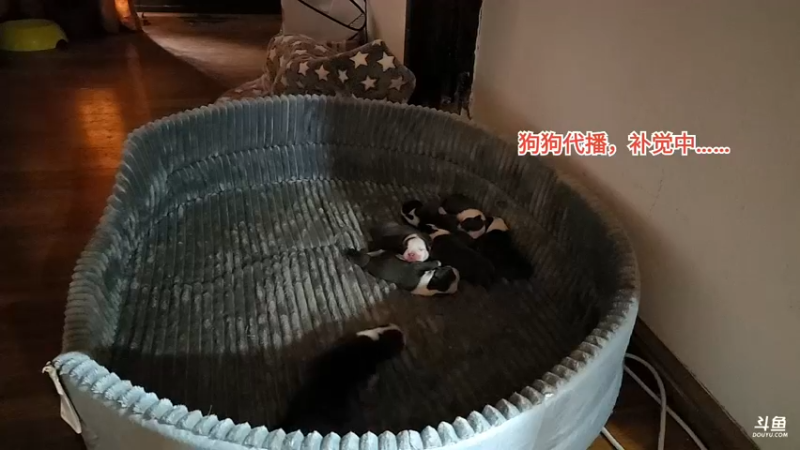 【2022-09-10 10点场】叶子户外：云南丽江，中秋快乐