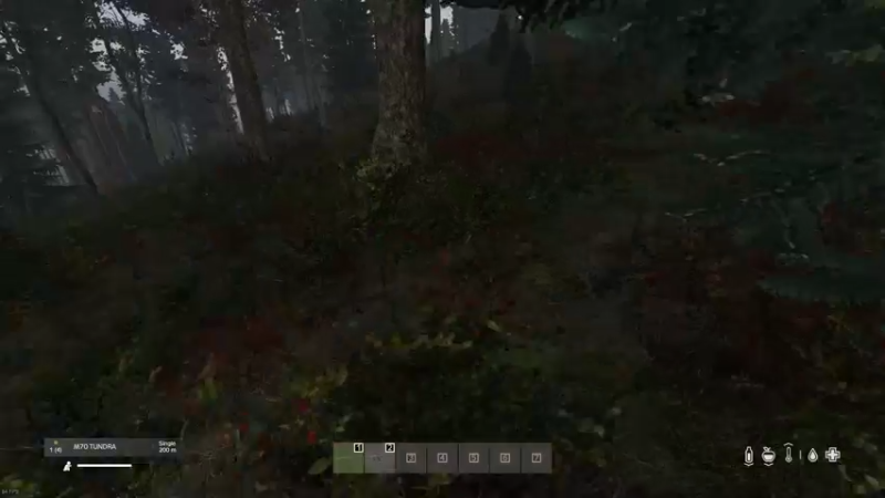 【2022-09-13 15点场】dayz韩爱东西：老韩车臣尼亚历险记