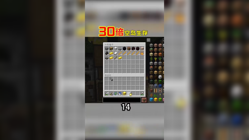 30倍空岛生存14（3）