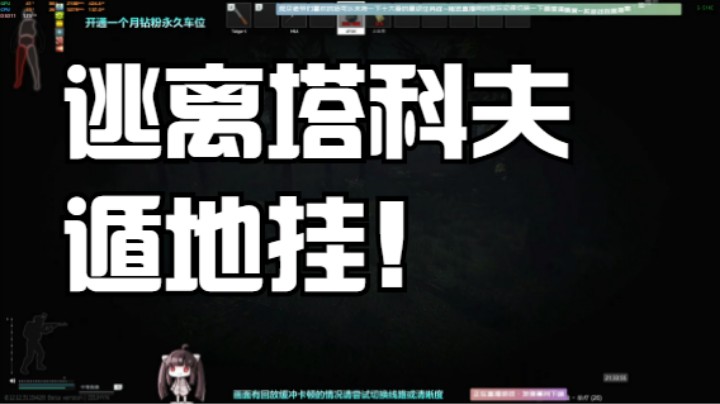 见识见识逃离塔科夫遁地挂！