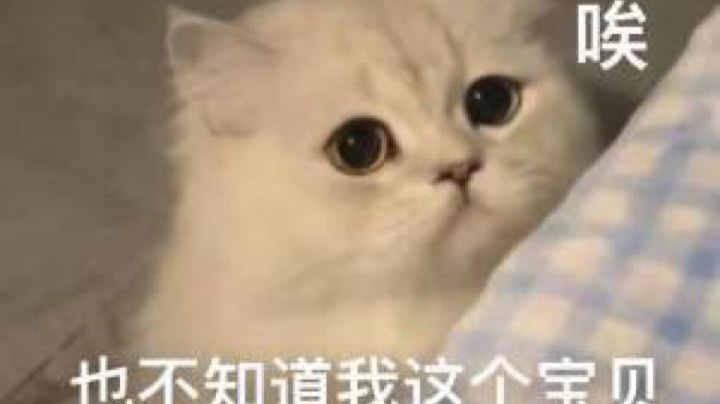 下饭4