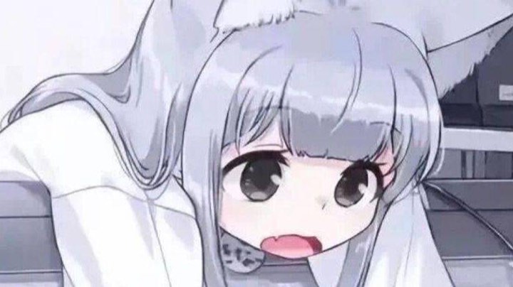 三鸡与一打九那回事