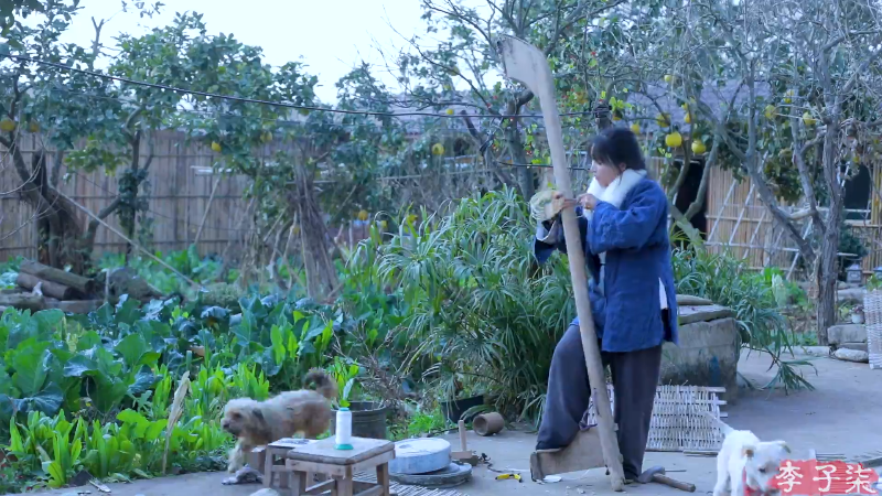 【美食】李子柒liziqi的精彩时刻 20220915 15点场