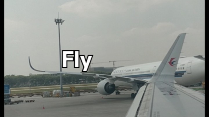 Fly