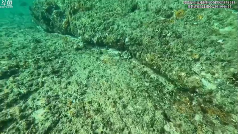 【2022-09-15 03点场】胖胖灬：胖胖OB：抽完签 RNG率先出击