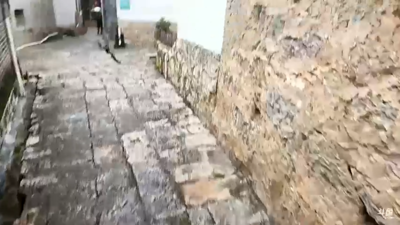 【2022-09-15 09点场】叶子户外：云南西双版纳day1