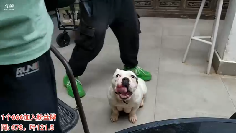 【2022-09-13 15点场】叶子户外：云南丽江古城day1