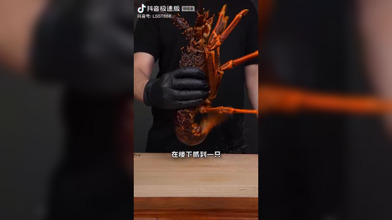 美食合集04