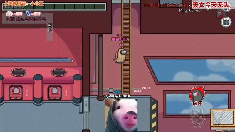 【2022-09-16 02点场】童猪啊i：【双倍】新人猪播 年过六十